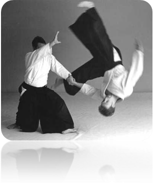 Aikido throw